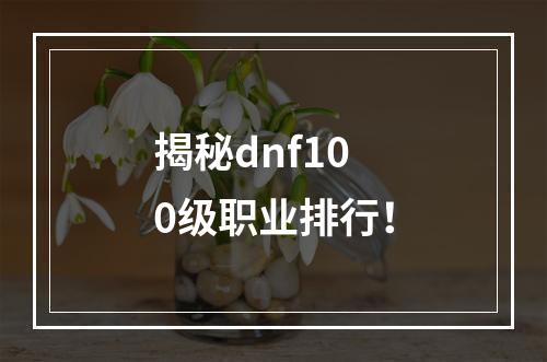 揭秘dnf100级职业排行！