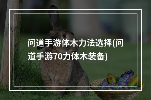 问道手游体木力法选择(问道手游70力体木装备)