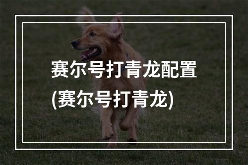 赛尔号打青龙配置(赛尔号打青龙)