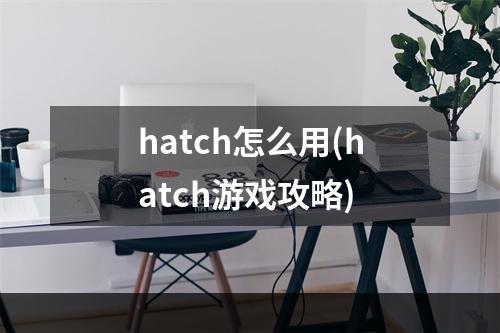 hatch怎么用(hatch游戏攻略)