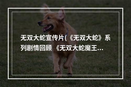 无双大蛇宣传片(《无双大蛇》系列剧情回顾 《无双大蛇魔王再临)