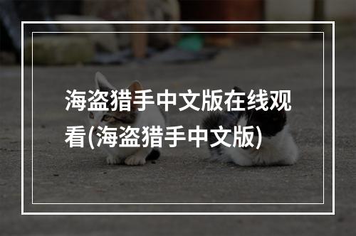 海盗猎手中文版在线观看(海盗猎手中文版)