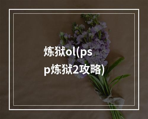 炼狱ol(psp炼狱2攻略)