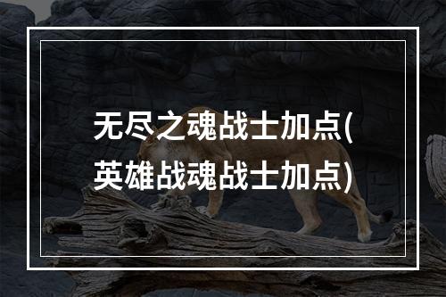 无尽之魂战士加点(英雄战魂战士加点)