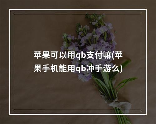 苹果可以用qb支付嘛(苹果手机能用qb冲手游么)