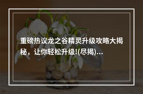 重磅热议龙之谷精灵升级攻略大揭秘，让你轻松升级!(尽揭)(实战经验跟着这份升级攻略，让你的龙之谷精灵变得更强!(踏实))