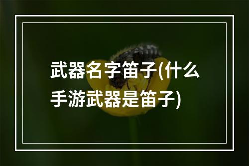 武器名字笛子(什么手游武器是笛子)