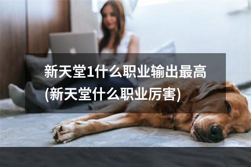 新天堂1什么职业输出最高(新天堂什么职业厉害)