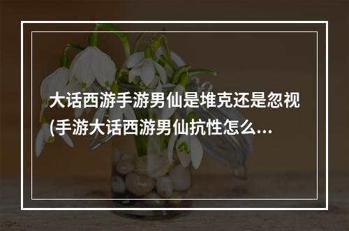 大话西游手游男仙是堆克还是忽视(手游大话西游男仙抗性怎么加)