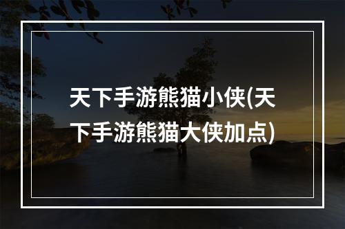 天下手游熊猫小侠(天下手游熊猫大侠加点)