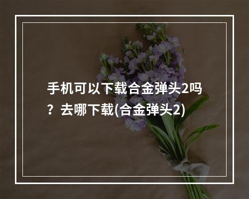 手机可以下载合金弹头2吗？去哪下载(合金弹头2)