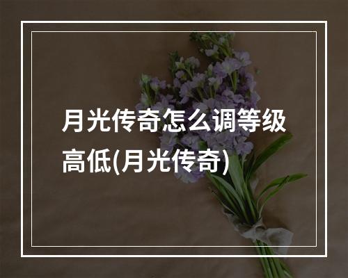 月光传奇怎么调等级高低(月光传奇)