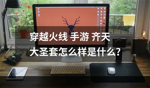 穿越火线 手游 齐天大圣套怎么样是什么？