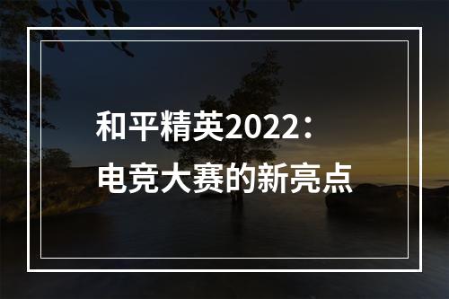 和平精英2022：电竞大赛的新亮点