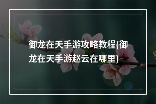 御龙在天手游攻略教程(御龙在天手游赵云在哪里)