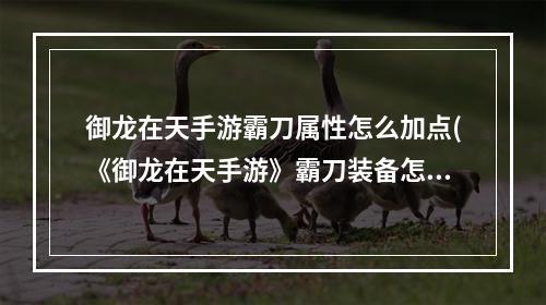 御龙在天手游霸刀属性怎么加点(《御龙在天手游》霸刀装备怎么选择 霸刀装备选择攻略  )