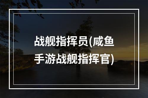 战舰指挥员(咸鱼手游战舰指挥官)