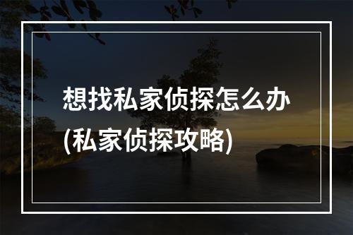 想找私家侦探怎么办(私家侦探攻略)