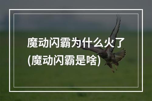 魔动闪霸为什么火了(魔动闪霸是啥)