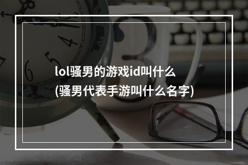 lol骚男的游戏id叫什么(骚男代表手游叫什么名字)