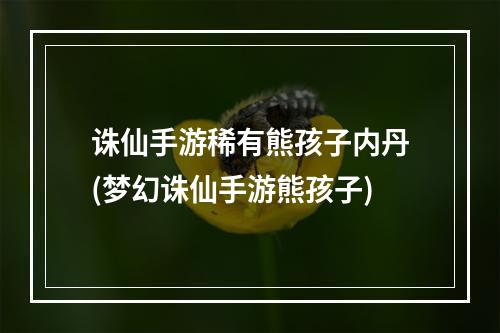 诛仙手游稀有熊孩子内丹(梦幻诛仙手游熊孩子)