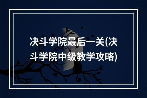 决斗学院最后一关(决斗学院中级教学攻略)