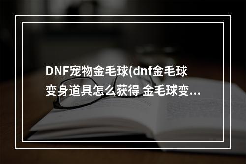 DNF宠物金毛球(dnf金毛球变身道具怎么获得 金毛球变身道具获取方法  )