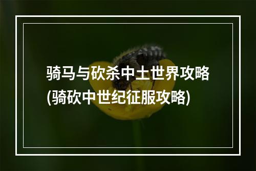 骑马与砍杀中土世界攻略(骑砍中世纪征服攻略)