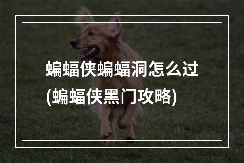 蝙蝠侠蝙蝠洞怎么过(蝙蝠侠黑门攻略)