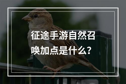 征途手游自然召唤加点是什么？