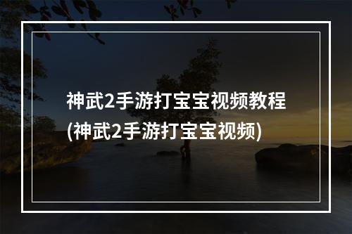 神武2手游打宝宝视频教程(神武2手游打宝宝视频)