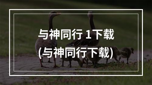 与神同行 1下载(与神同行下载)