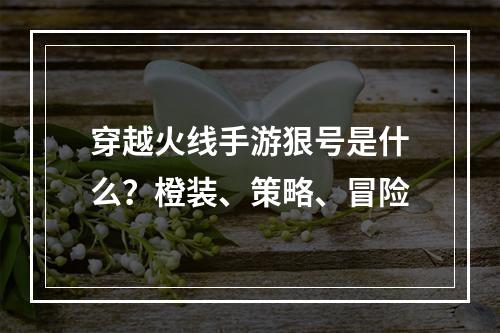 穿越火线手游狠号是什么？橙装、策略、冒险