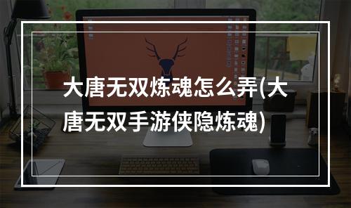 大唐无双炼魂怎么弄(大唐无双手游侠隐炼魂)