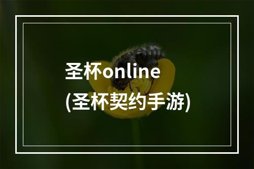 圣杯online(圣杯契约手游)