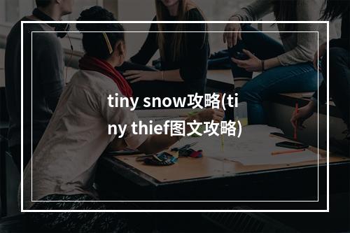 tiny snow攻略(tiny thief图文攻略)