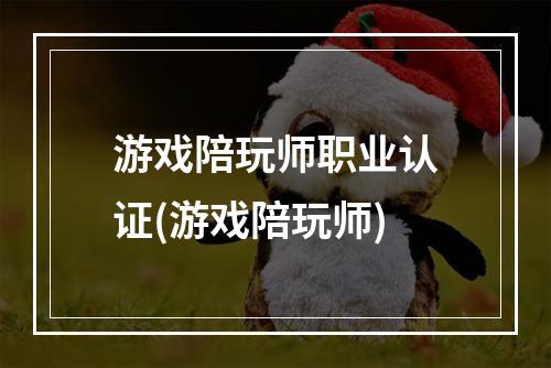 游戏陪玩师职业认证(游戏陪玩师)