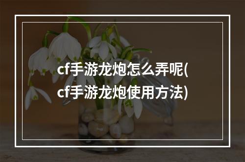 cf手游龙炮怎么弄呢(cf手游龙炮使用方法)