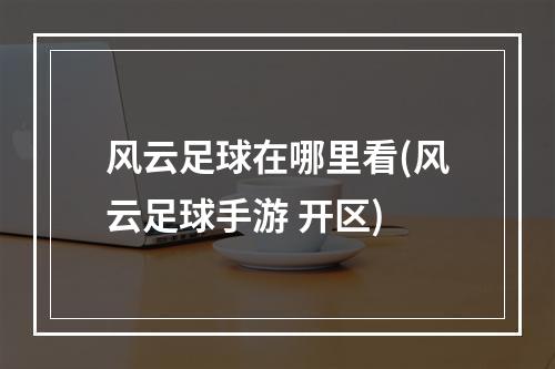 风云足球在哪里看(风云足球手游 开区)