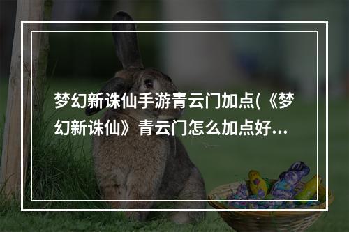 梦幻新诛仙手游青云门加点(《梦幻新诛仙》青云门怎么加点好 青云门加点技巧攻略  )