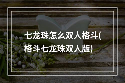 七龙珠怎么双人格斗(格斗七龙珠双人版)