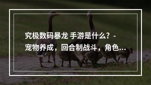 究极数码暴龙 手游是什么？- 宠物养成，回合制战斗，角色扮演