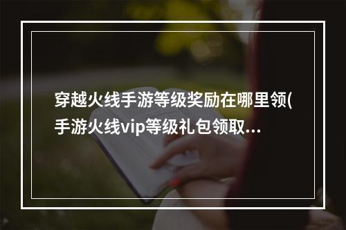 穿越火线手游等级奖励在哪里领(手游火线vip等级礼包领取)