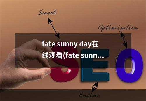 fate sunny day在线观看(fate sunny day攻略)