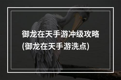 御龙在天手游冲级攻略(御龙在天手游洗点)