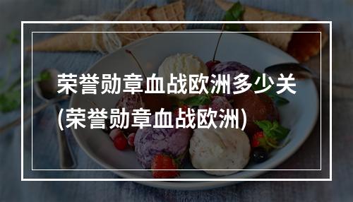 荣誉勋章血战欧洲多少关(荣誉勋章血战欧洲)