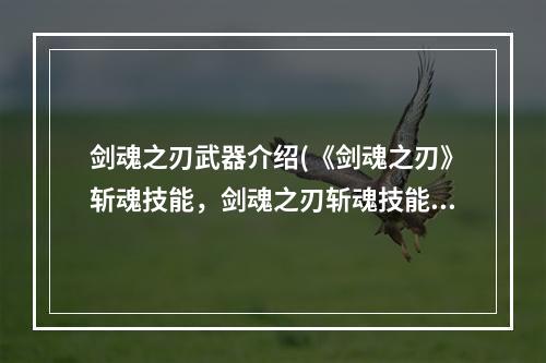 剑魂之刃武器介绍(《剑魂之刃》斩魂技能，剑魂之刃斩魂技能大全 斩魂技能)