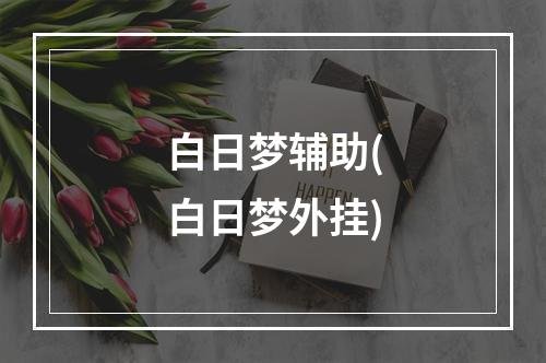 白日梦辅助(白日梦外挂)