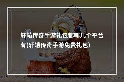 轩辕传奇手游礼包都哪几个平台有(轩辕传奇手游免费礼包)