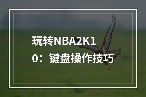 玩转NBA2K10：键盘操作技巧